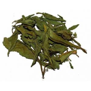 estevia hoja