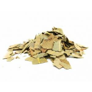 eucalipto hoja cortada