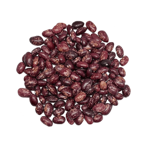 alubia tolosana pinta