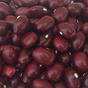alubia tolosana roja