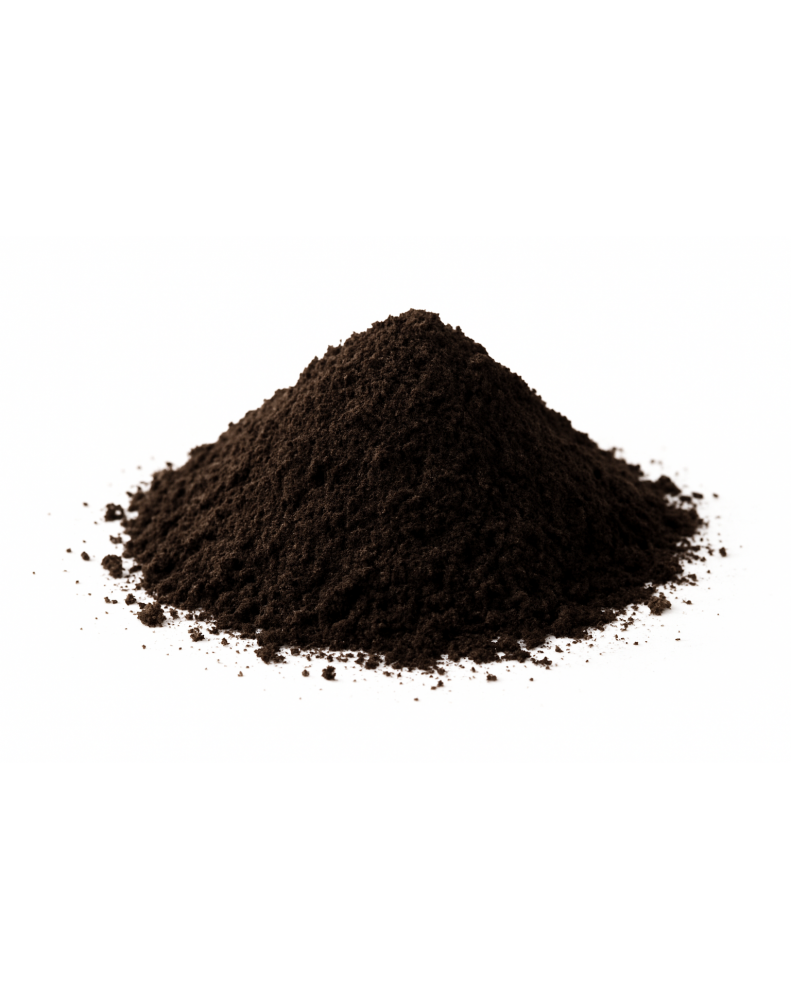 ajo-negro-en-polvo